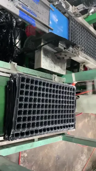 24, 50, 72, 98, 105, 128, 200, 288 Cells Pet Seed Tray