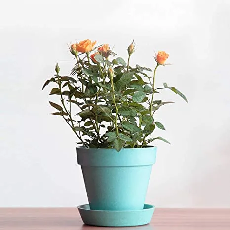 Biodegradable Home Garden Planter Bamboo Fiber Plant Flower Pot 
