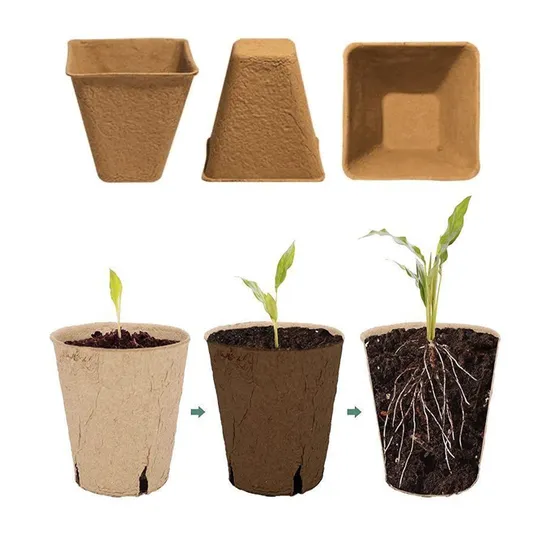 Biodegradable Transplanter Molded Fiber Pulp Plant Seed Starter Flower Pots Seedlings Small Paper Pulp Peat Pot 