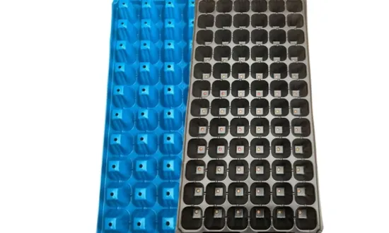 Premium 72 Cell Seedling Tray for Vegetable and Flower Growth 