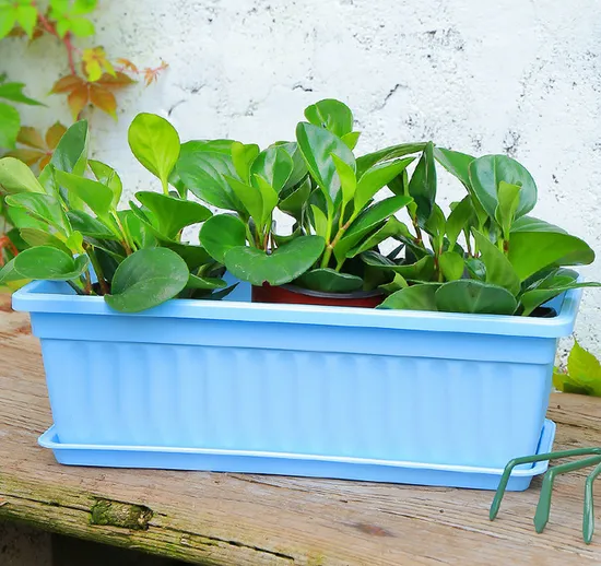 Flower Box Planter with Long Tray PP Plant Pot Rectangular Window Plastic Gardening Tools Ci20893 