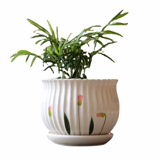 White Ceramic Plant Pot with Black Metal Modern Window Planters for Small Succulent Cactus Herb Air Plant